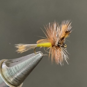 HUMPY YELLOW - #14 - ORIGINAL