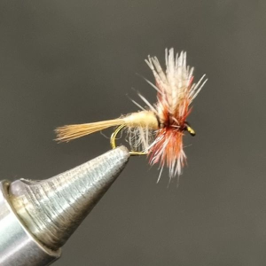 MARCH BROWN - #14 - ORIGINAL