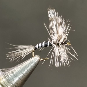 MOSQUITO - #14 - ORIGINAL