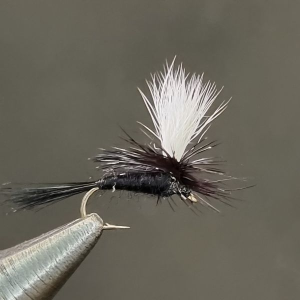 PARACHUTE BLACK GNAT - #14 - ORIGINAL