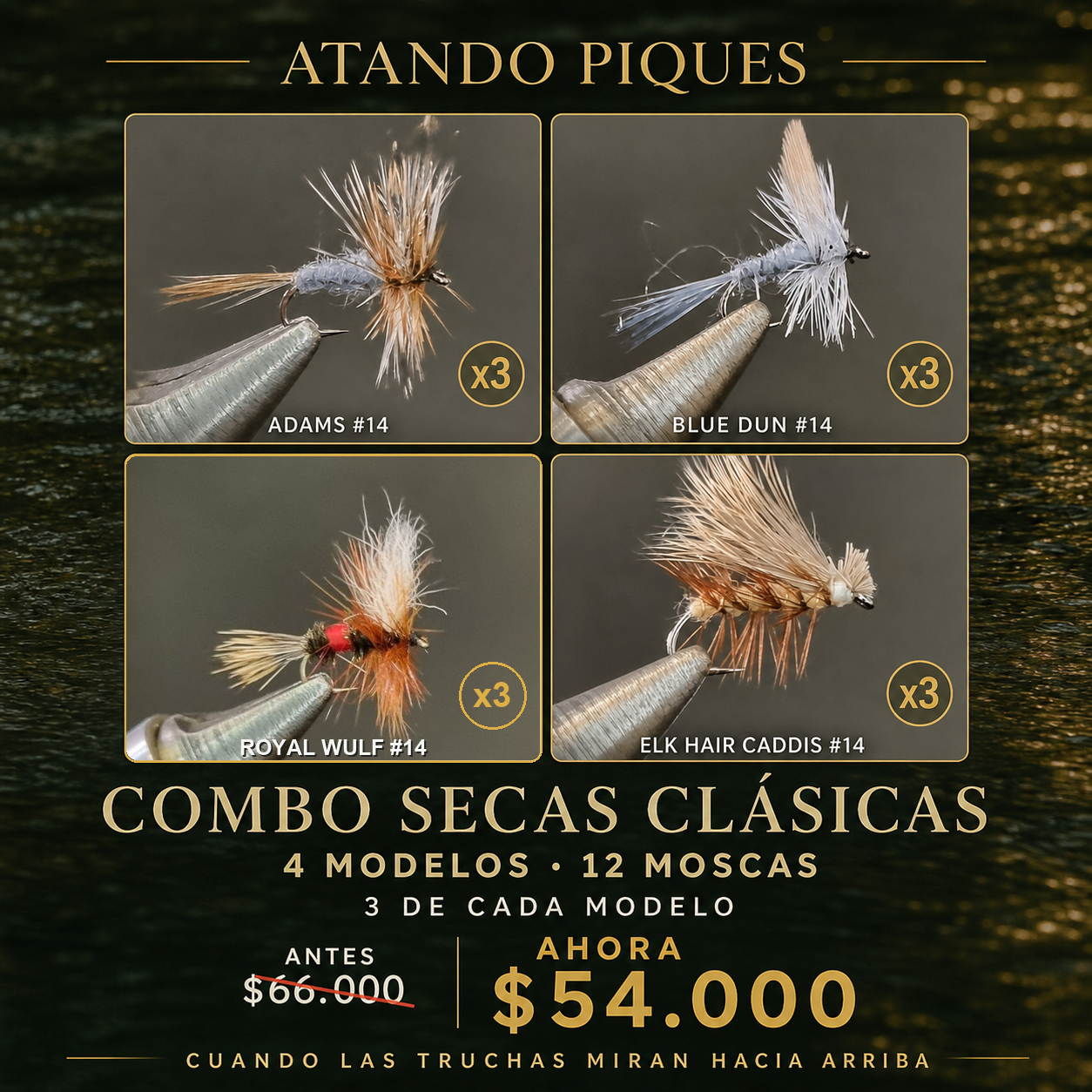 Combo Secas Clásicas x12