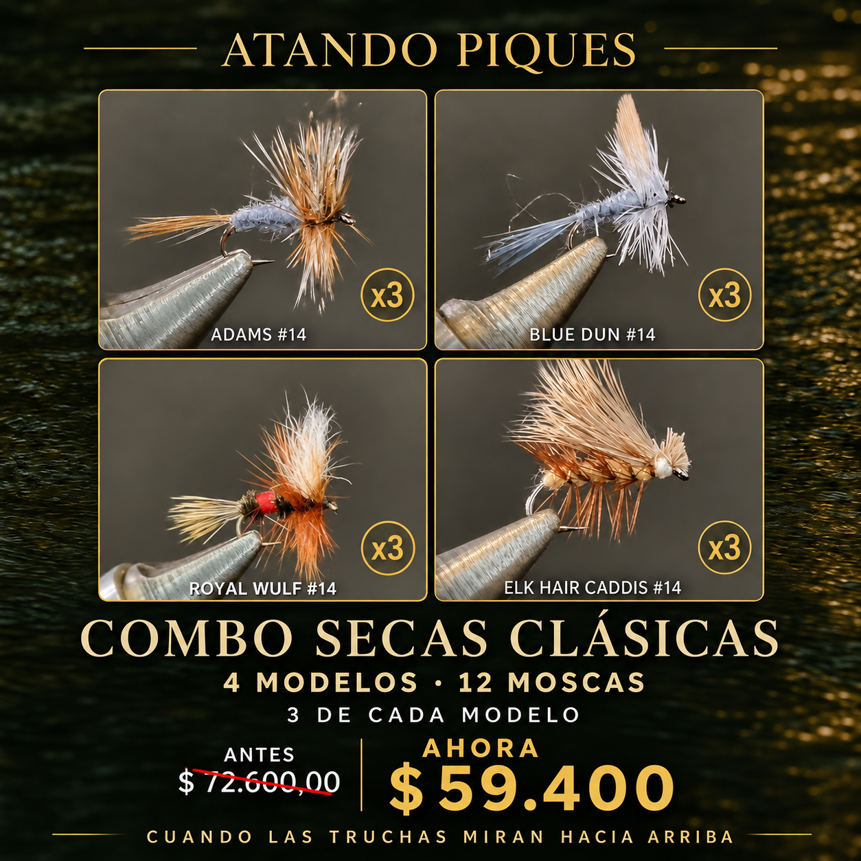 Combo Secas Clásicas x12